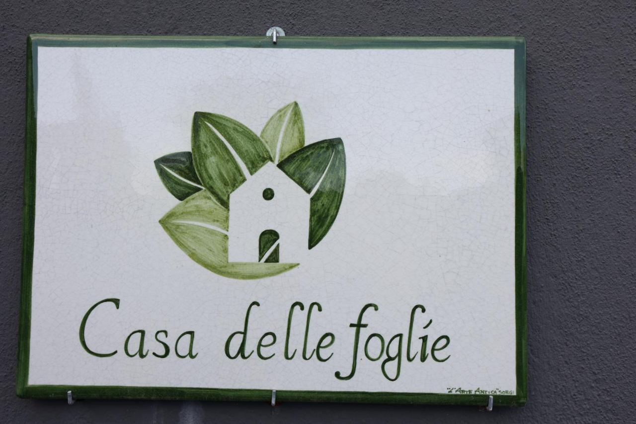 Casa Delle Foglie Villa San Giovanni La Punta Kültér fotó